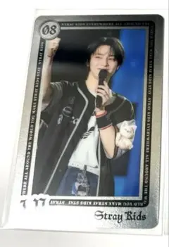 アイエン StrayKids スキズ ライブフォトカード