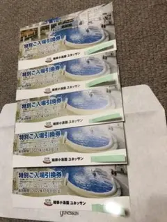 箱根小涌園ユネッサン 入場引換券 5枚セット