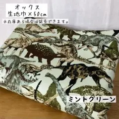 《オックス》恐竜ワールド ミントグリーン 男の子 生き物 入園入学