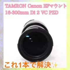 Item thumbnail for item e800983d-a903-4eec-8c3b-63241a18161e