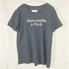 Abercrombie & Fitch ロゴTシャツ ブラック 半袖