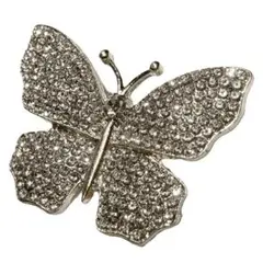 Item thumbnail for item 1b5a6d5a-1753-40ae-8159-40cf67e65e6c