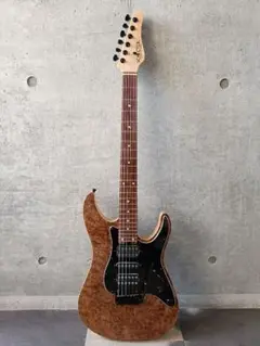 2025年最新】schecter sd-2-24の人気アイテム - メルカリ