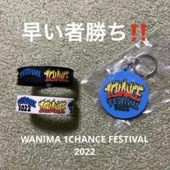 【早い者勝ち！】 WANIMA 1CHANCE FESTIVAL 2022