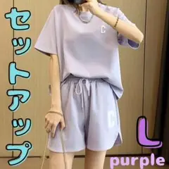 レディース ルームウェア パンツ 半袖 セットアップ 夏 スウェット 上下 L