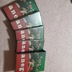 anego(アネゴ) DVD-BOX〈4枚組〉
