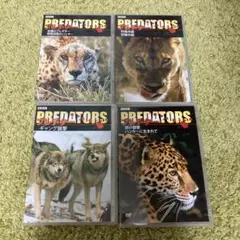 BBC プレデターズ 4枚セット