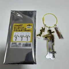 坂本誠志郎選手　シークレットワイヤーリングアクリルキーホルダー　阪神　ウル虎の夏
