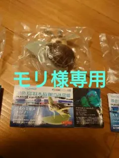 (未開封品)原色 鳥羽水族館 立体図鑑 3種