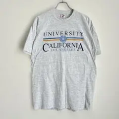 カルフォルニア大学　メンズ　Tシャツ　グレー　サイズL