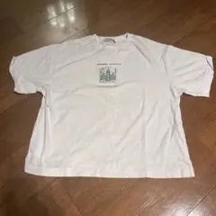 Zara テイシャツ