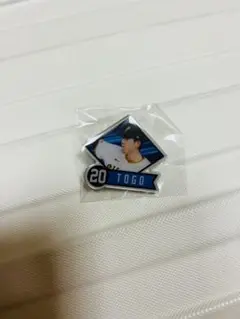 ピンズ 戸郷翔征