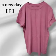 a new day ロゴ Tシャツ ピンク無地でシンプル