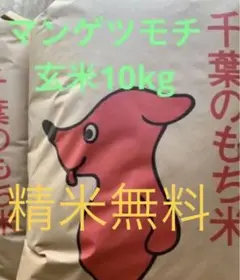 新米 残僅か 令和4年 マンゲツモチ 玄米10kg 餅米 もち米 一軒農家生産