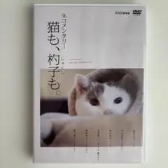 2025年最新】ネコメンタリー 猫も、杓子も。 [DVD]の人気