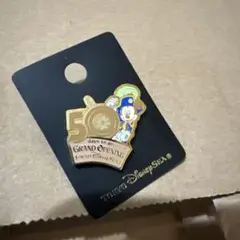 東京ディズニーリゾート ピンバッジ