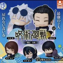 【最終値下げ】呪術廻戦 おねむたん 懐玉玉折 家入硝子 新品未開封