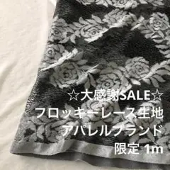 2FL/5407◆1m 感謝祭/限定/ポリレーヨン混フロッキーレース生地