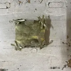 フランスのかわいいピンクッション