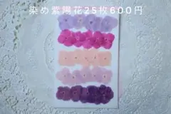 押し花　染めアジサイ25枚