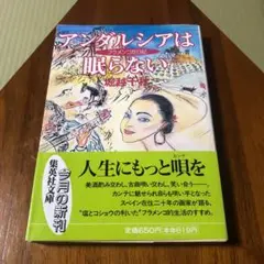 アンダルシアは眠らない フラメンコ狂日記 堀越千秋 集英社文庫