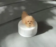 羊毛フェルト 犬 トイプードル ミニチュア