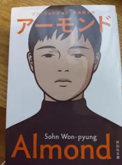 アーモンド Sohn Won-pyung 祥伝社文庫