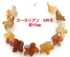 カーネリアン　5弁花　約15㎜(HA-1634)