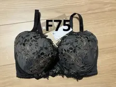 ワコール　ウイング　レシアージュ　PB2920 ブラジャー　F75 カラーBL