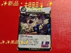 ✨新品・未使用・美品✨　LR・宿命の影写し