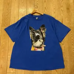 アメリカ古着☆GILDAN アニマル　ドッグ　デザインTシャツ　3XL