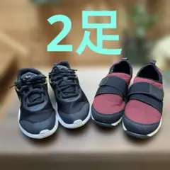 運動靴　ライザップ　他