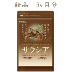 サラシア 約3ヵ月分 180粒 サプリ