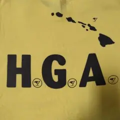ハワイ マウイ HGA Tシャツ Mサイズ 6