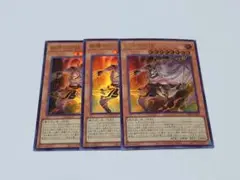 遊戯王 教導の死徒 チャプレーンドラグマ 3枚