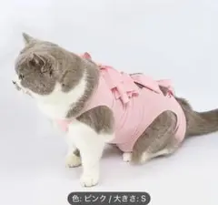 Item thumbnail for item bfa0ecf2-9020-490a-b1ed-2589811a9480