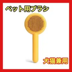 Item thumbnail for item c407cb71-7e1f-4d9e-8d2a-84faf5660cc3