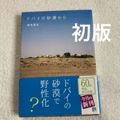 【初版】銀色夏生「ドバイの砂漠から」
