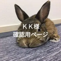 ＫＫ様確認用♡デニムリメイクバッグ