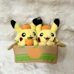 ペアピカチュウとえひめみかん 愛媛エミフルMASAKI限定