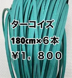 グラブレース　ターコイズ　180cm×６本