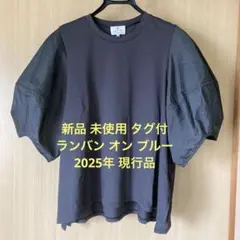 新品 未使用2025年現行品タグ付 LANVIN en Bleu カットソー M