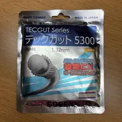 【お盆限定SALE‼️未開封品‼️】ソフトテニス GOSEN テックガット 5300