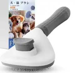 Item thumbnail for item 575ae58f-ea10-4617-9f54-d55b1d511ebe