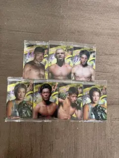 格闘技トレーディングカードセットまとめ売り