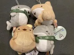 おでかけ子ザメ　とかいのおともだち　ボイスマスコットぬいぐるみ　全4種