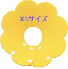 Item thumbnail for item 7f33402d-33fc-4fb2-8dd9-7c9083e96c90