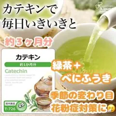 【オススメ】カテキン(緑茶+べにふうき) 約3ヶ月分 リプサ