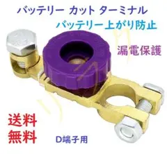 Item thumbnail for item 8e666a63-2c1b-424c-b1dc-2b0c028448f5