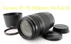 Item thumbnail for item 754dce6d-b952-47cc-a989-952d95cc931a